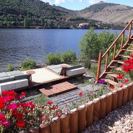 Casa Dos Vinhais - Douro Valley Coleja Dış mekan fotoğraf