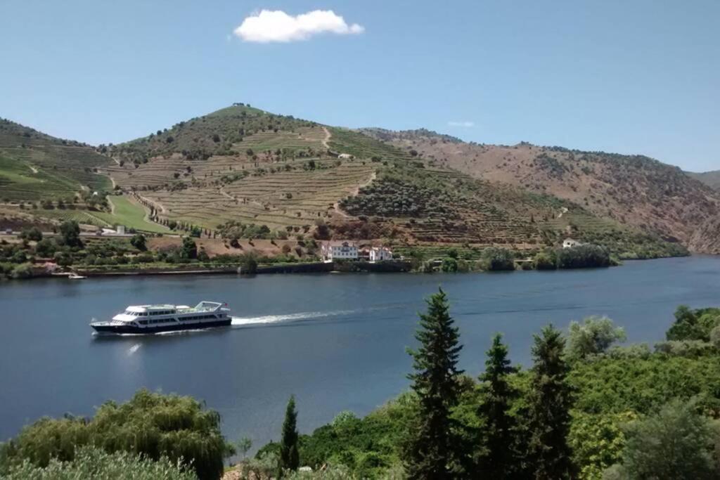 Casa Dos Vinhais - Douro Valley Coleja Dış mekan fotoğraf