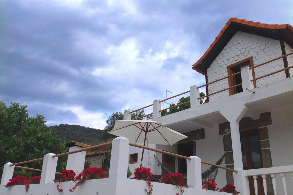 Casa Dos Vinhais - Douro Valley Coleja Dış mekan fotoğraf